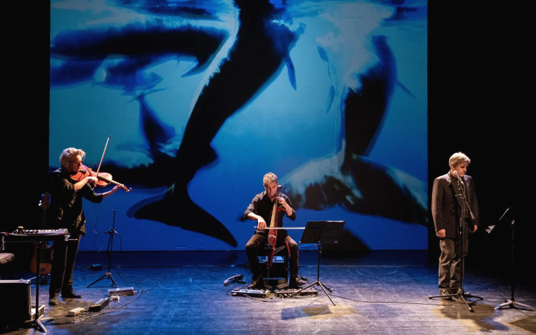 Le retour de Moby Dick / ATTENTION SPECTACLE ANNULE