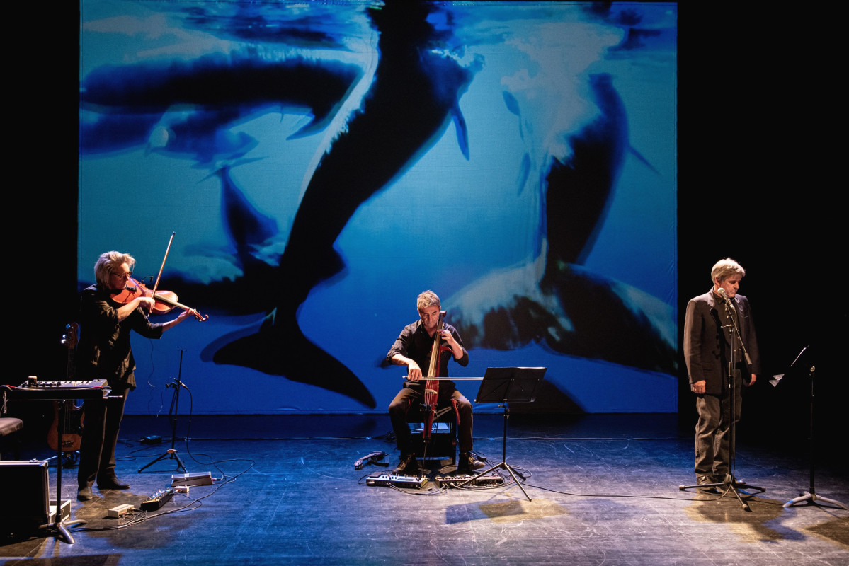 Le retour de Moby Dick / A voir chez Locu Teatrale