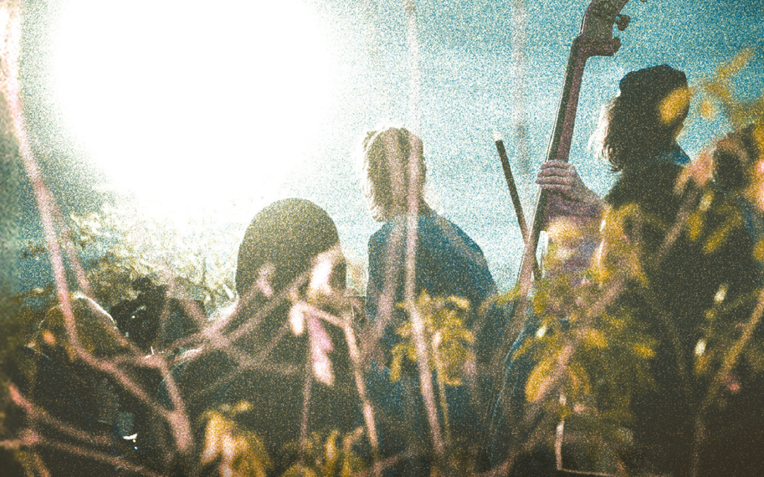 Plus que 2 spectacles avant la fin de la saison !